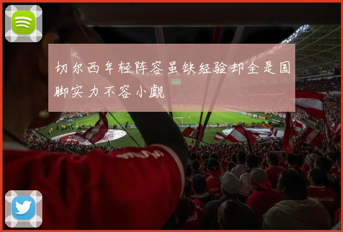 切尔西年轻阵容虽缺经验却全是国脚实力不容小觑