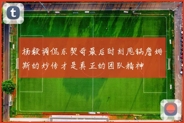 杨毅调侃东契奇最后时刻甩锅詹姆斯的妙传才是真正的团队精神